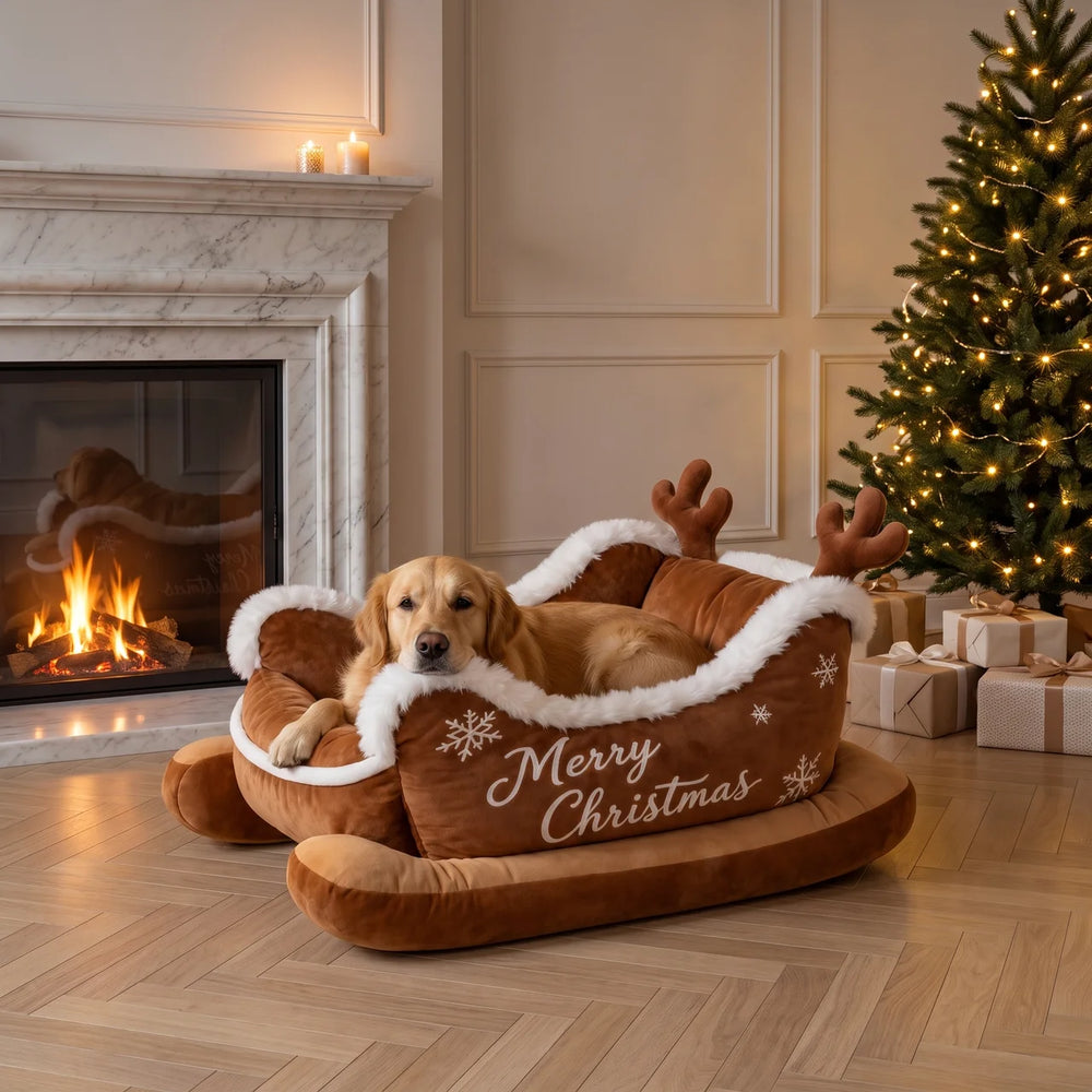 HollyPaws
